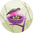 Rayan R profile picture